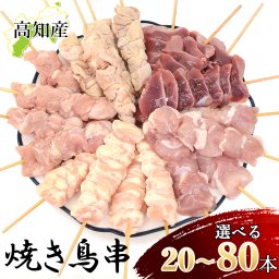 焼き鳥 オススメ 20本 40本 80本セット (5種入り) 五十嵐ブロイラー 食べ比べ 国産 若鶏 鶏肉 串 串焼き 焼き鳥串 焼鳥 やきとり 高知産 盛り合わせ もも肉 せせり 鶏皮 ぼんじり 砂肝 アウトドア キャンプ BBQ 冷凍 お取り寄せ [冷凍便]【送料無料】[ヤマト発送]