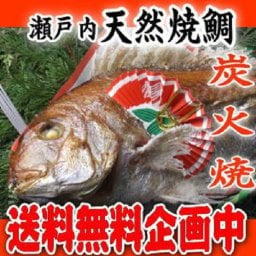 【送料無料】☆瀬戸内　天然焼鯛　炭火焼　１．２kgアップ☆【お食い初め　鯛】【祝い鯛】【祝い飾り付き】【鯛の塩焼き】【尾頭付き】 