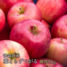 青森県産 葉とらずりんご つがる ご贈答用 約5kg (約14〜18個) ギフトに最適 産地直送 同梱不可 りんご 林檎