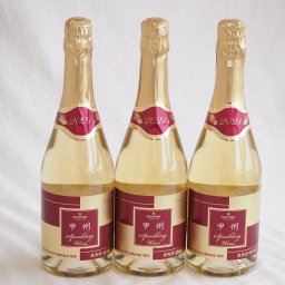 3本セット(山梨県産100％サントネージュ　甲州スパークリングワイン やや甘口) 720ml×3本
