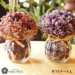 ドライフラワー ナチュラル ポットアレンジ 【花 ギフト 誕生日 花 ギフト 誕生日プレゼント 贈り物 ウェルカムスペース 小物 ドライフラワー ギフトケース入り ピンク パープル ガラスポット インテリア雑貨】
