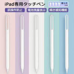 【傾き感知/残量表示】タッチペン iPad ペンシル スタイラスペン 極細 iPad A16 第11世代 9876 第10世代 iPad Air Pro 11インチ 12.9 13インチ M4 M3 M2 iPad Air5 Air4 mini6 mini7 Type-C急速充電 パームリジェクション 途切れ/遅延/ズレ/誤操作防止