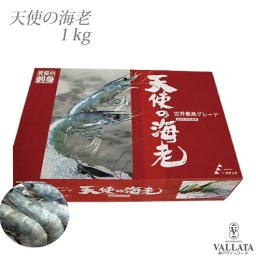 高級レストラン使用 天使の海老 1kg 