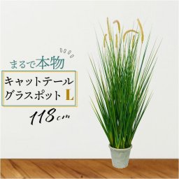 フェイクグリーン キャットテールグラス 通販 フェイク グリーン 人工観葉植物 インテリアグリーン イミテーショングリーン インテリアプランツ 人工樹木 ポット 鉢植え アーティフィシャルグリーン 人工植物 おしゃれ リビング 寝室 インテリア GLA-1390