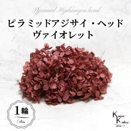 メール便で発送 大地農園！プリザーブドフラワー 「ソフトピラミッドアジサイ ヴァイオレット 1輪分」 プリザ アジサイ 紫陽花 花材 ハーバリウム おしゃれ かわいい プレゼント 贈り物 オオチノウエン ソフトピラミッドアジサイ・ヘッド