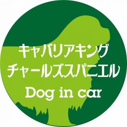 Dog in car ドッグインカー ステッカー カーステッカー キャバリアキングチャールズスパニエル レトロ書体 グリーン シール 煽り運転対策 カーサイン