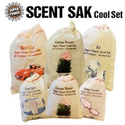 【お得なセット】セントサック エアフレッシュナー クールな香り 6個セット Scent Sak AirFreshener 芳香剤 車 部屋 吊り下げ カーフレッシュナー クローゼット 長持ち 強力 におい袋 香り袋 サシェ アロマ アメリカ USA アメリカ雑貨 アメリカン雑貨 Cool　芳香剤