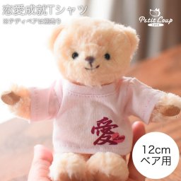 [6点までメール便可] マスコット用 ぬいぐるみ用 服 Tシャツ 愛 love ラブ メッセージ 告白 かわいい 友達 引越 退職 卒業 先輩 雑貨 メッセージTシャツ モールドール プチギフト 好き ピンク 誕生日プレゼント コスチューム ぬい服 ぬいぐるみの服 女の子 男の子 母 彼女 父 彼氏 おしゃれ TB恋愛成就Tシャツ 762801