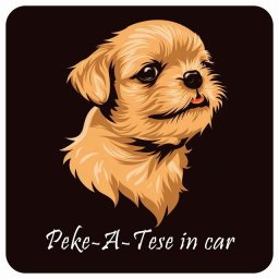 ドッグ カーステッカー イラスト付 Dog in Car マルペキ Aタイプ セーフティサイン 犬種別 正方形 13x13cm シール リア あおり運転対策 Dog Sticker 屋外 屋内 防水 かわいい おしゃれ 安全対策 カーサイン