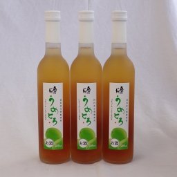 完熟梅の味わいと日本酒のうまみをたっぷりの梅リキュール　うめとろ　500ml×3本