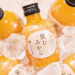 敬老の日 和歌山 早和果樹園 飲むみかん 20本 みかん 有田みかん グルメ ごちそう お取り寄せ食品 ギフト プレゼント 贈答 熨斗 のし 贈り物(代引不可)【送料無料】
