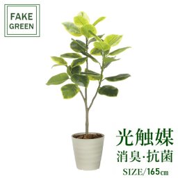 フェイクグリーン 人工観葉植物 フレッシュアルテシマ1.65m 2333a350 一部地域送料無料 光触媒 インテリア 代引き不可
