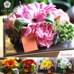 生花 フラワーアレンジメント コントラスト 【花 ギフト 誕生日プレゼント 花 お祝い 花 ギフト 生花 フラワーアレンジメント 誕生日 プレゼント 女性 男性 出産祝い 結婚祝い 退職祝い 歓送迎会 お見舞い 花 ギフト おしゃれ アレンジフラワー ペット お供え お悔やみ 花】