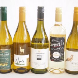 余韻に酔いしれるシャルドネ白ワイン5本セット(アルパカ ネセミヨン辛口Alc.12.5%(チリ) デル スール辛口Alc.13%(チリ) ヴィーニャ サン エステバン クラシックAlc.13%(チリ) ソムリエAlc.13%(チリ) フエンテフルータ白辛