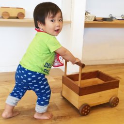 手押し車 飛鳥工房 おもちゃ箱 木のおもちゃ 車 おもちゃ 片付け箱 シンプル かわいい 歩行器 カタカタ 代わり つかまり立ち 手押し車 【送料無料】