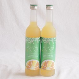 2本セット(さわやかへべすリキュール 14％ 井上酒造(宮崎県)) 500ml×2本
