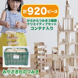 クリエイティブセット（からからつみき 3種類 920p）コンテナ入り 積み木 おもちゃ 知育 玩具 つみき 卒園記念 幼稚園 保育園 保育施設 プレゼント 日本製 宮崎県産 木のおもちゃ クリスマス 誕生日プレゼント