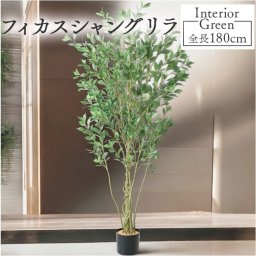フェイクグリーン フィカスシャングリア 通販 フェイク グリーン 人工観葉植物 インテリアグリーン 大型 イミテーショングリーン インテリアプランツ 人工樹木 ポット 鉢植え アーティフィシャルグリーン 人工植物 おしゃれ リビング インテリア GLP-1551