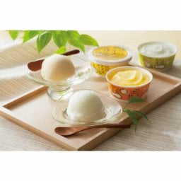 高知  土佐  高知アイスセット  3410003 景品 記念品 粗品 ノベルティ 名入れ 御挨拶 ご挨拶