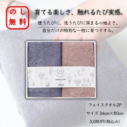 のし・包装紙ラッピング無料 驚くほど軽い 日本製 泉州フェイスタオル2枚 育てるタオル ギフト お歳暮 お年賀 出産祝い 結婚祝い 内祝い 快気祝い 香典返し ご挨拶 御礼 暑中見舞い お返し ふわふわ 吸水 贈り物に最適