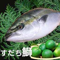 すだち鰤（ラウンド）4kg前後 産地直送 宅配便 送料無料 /新鮮 臭みのないブリ 水揚げ 海の幸 ぶり 活き〆 贈答 ギフト 出世魚