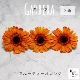大地農園！プリザーブドフラワー 「ガーベラ フルーティーオレンジ 3輪」プリザ 花材 ハーバリウム おしゃれ かわいい プレゼント 贈り物　オオチノウエン