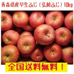 青森県産　家庭用　早生ふじ（弘前ふじ）　パック詰め　10kg　送料無料！