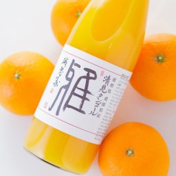 清見タンゴールジュース「雅」720ml 果物ジュース【送料無料※北海道・沖縄除く】