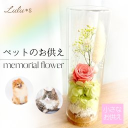 【ペット お悔やみ】 フラワーガーデン ガラスドーム お供え 仏花 プリザーブドフラワー ドライフラワー 犬 猫 虹の橋 命日 お盆 供花 贈り物 ギフト ルルズ