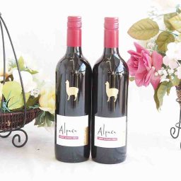チリワイン2本セット(サンタ ヘレナ アルパカ カベルネ メルロー ミディアムボディ赤ワイン) 750ml×2本