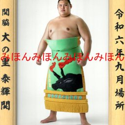 大の里 泰輝 関　優勝ミニ額 大相撲 ミニ額 大相撲 優勝額　令和６（２０２４）年９月場所 優勝 関脇 大の里 関（2回目）優勝記念品 相撲グッズ 力士グッズ 相撲取りグッズ 国技館 限定品 記念品 コレクション 写真 R0609