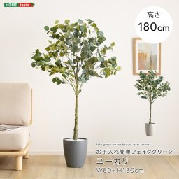観葉植物 フェイクグリーン ユーカリ Lサイズ(180cm) 鉢付き 完成品 人工観葉植物 お手入れ簡単 水やり不要 リアル 室内 インテリア 玄関 リビング オフィス お祝い プレゼント