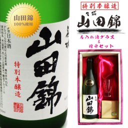 名入れ 日本酒 ギフト【 名城 山田錦 特別本醸造 720ml 】送料無料 結婚祝い 誕生祝い 還暦祝い 退職祝い 名入れ 名前入り お酒 酒 ギフト 彫刻 プレゼント 父の日 成人祝い 還暦祝い 古希 誕生日 男性 女性 贈り物 退職祝い 結婚祝い お祝い 開店祝い