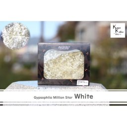 大地農園！プリザーブドフラワー 約5g分【カスミソウ　ミリオンスター　白】プリザ　カスミ草　カスミソウ 花材 ハーバリウム おしゃれ かわいい プレゼント 贈り物　オオチノウエン