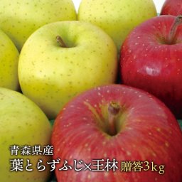 青森県産 葉とらずふじ・王林セット ご贈答用3kg (約10個前後) プレミアムリンゴギフトに最適 青森産サンふじ りんご 林檎