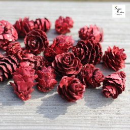 プリザーブドフラワー ミニツガ 「クイーンレッドラメ」25g  花材 アレンジ ドライフラワー 木の実 大地農園 材料 装飾 飾り付け