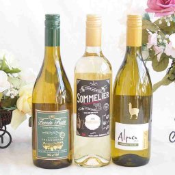 爽やかな酸味のチリ辛口白ワイン 3本セット(フルロッティ ソムリエ シャルドネ アルパカ シャルドネ セミヨン フエンテ フルータ シャルドネ) 750ml×3本