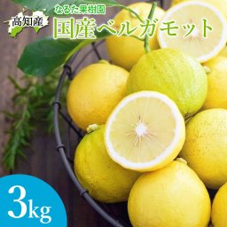 ベルガモット 栽培期間中 無農薬 ノーワックス 高知産 3kg 国産ベルガモット 3キロ 果実 産地直送 高知県宿毛市 柑橘 果物 フルーツ アールグレイ 紅茶 デトックス シトラスウォーター フレッシュ 香り付け 出荷時期によりグリーンからイエローに変化します【送料無料】