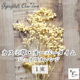 大地農園！プリザーブドフラワー 「カスミ草・オーバータイム ジュリアオレンジ 1束」プリザ カスミソウ カスミ草  花材 ハーバリウム おしゃれ かわいい プレゼント 贈り物 オオチノウエン