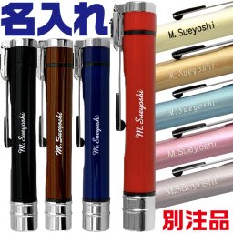 【名入れ】【送料無料】☆ネームエルツイン 別注品 シャチハタ☆