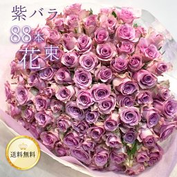 紫バラ88本の花束 生花 ムラサキバラ 東京銀座クオリティ 土日も出荷 紫色 バラ 薔薇 ばら 花束 お祝い 誕生日 記念日 母の日 母の月 父の日 プレゼント ギフト プロポーズ 結婚 退職 還暦 長寿 米寿 古希 喜寿 金婚式■花束■