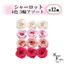 大地農園！プリザーブドフラワー「シャーロット 4色×3輪アソート 計12輪」「ホワイトシャンパン シャーベットピンク バニラピンク フランボワーズ」プリザ 花材 ハーバリウム おしゃれ ピンク バラ かわいい プレゼント 贈り物 オオチノウエン