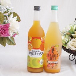柑橘系のお酒特集 2本セット(紀州の梅酒と柑橘ミックス12度(和歌山県) オレンジベアー7度(三重県)) 720ml×2本