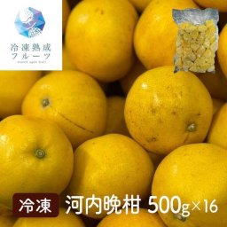 河内晩柑 冷凍 8kg 500g×16パック 熊本県産 国産 ジューシーオレンジ 和製グレープフルーツ フルーツ 果物 デザート スムージー ヨーグルト トッピング お取り寄せ グルメ