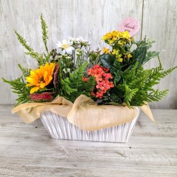 ミックスグリーンアレンジ 触媒加工 母の日ギフト 造花 送料無料 くま ギフト ク 贈り物 アレンジ カゴ 綺麗 枯れない お母さん 可愛い Mo