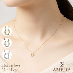 ネックレス ホースシュー 通販 サージカルステンレス ジュエリー きれいめ レディースアクセサリー 首飾り 華奢 エレガント シンプル おしゃれ 大人 女性 オフィス 馬 普段使い 贈り物 鎖 彼女 記念日 ギフト かわいい 可愛い デイリー