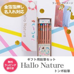 名入れ 鉛筆 トンボ鉛筆 ハローネイチャー ギフト用鉛筆セット 鉛筆 かきかたえんぴつ 12本 ラッピングセット 金箔 2B MP-KHN2-2B 鉛筆 送料無料