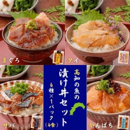 魚の漬け丼セット（4種×各1パック）4食分 送料無料 高知 宇佐もん工房 海鮮丼 タイ マグロ カンパチ サバ 鯛 鮪 勘八 鯖 冷凍 お茶漬け おつまみ タレ ギフト プレゼント 自宅用 お中元 お歳暮 母の日 父の日 敬老の日 新鮮 その他魚介類・水産加工品