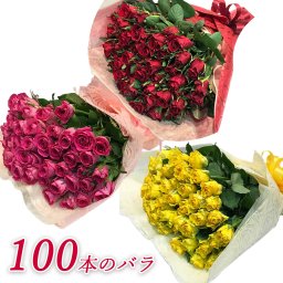 バラ 花束 100本 色が選べる  ピンク レッド イエロー 薔薇 季節の花束 送料無料 土日も出荷 プレゼント 生花 お祝い 記念日 フラワー ギフト プロポーズ 結婚祝い 誕生日 卒業 退職 還暦 賀寿祝い 長寿 敬老の日