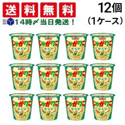 【 送料無料 】 カルビー じゃがりこ サラダ味 57g × 12個 （1ケース） ケース販売